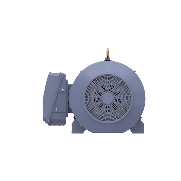 Cast Iron Motor, 270 HP, 3 Ph, 50 Hz, 400 V, 1000 RPM, 355M Frame, TEFC