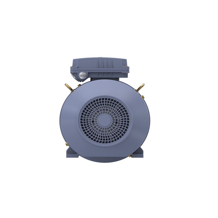 Cast Iron Motor, 7.50 HP, 3 Ph, 50 Hz, 400 V, 1000 RPM, 132M Frame, TEFC Cast Iron Motor, 7.50 HP, 3 Ph, 50 Hz, 400 V, 1000 RPM, 132M Frame, TEFC