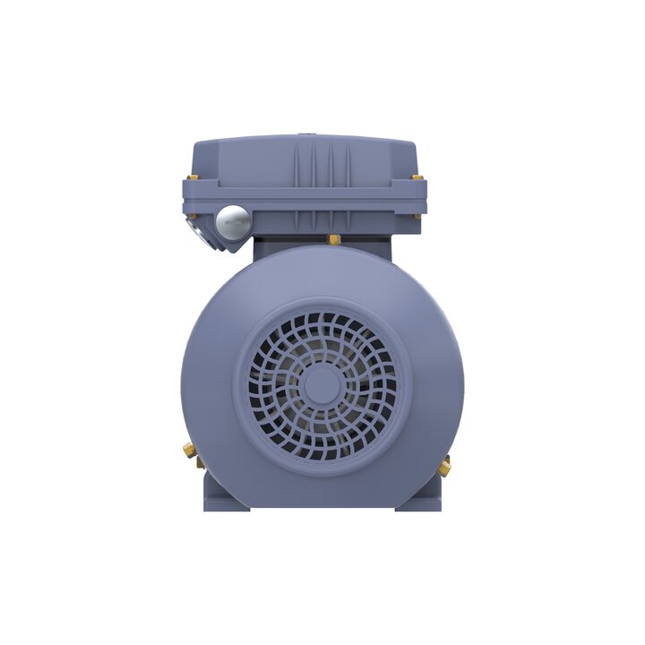 Cast Iron Motor, 1 HP, 3 Ph, 50 Hz, 400 V, 3000 RPM, 80M Frame, TEFC