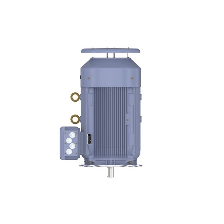 Cast Iron Motor, 200 HP, 3 Ph, 50 Hz, 400 V, 750 RPM, 355M Frame, TEFC