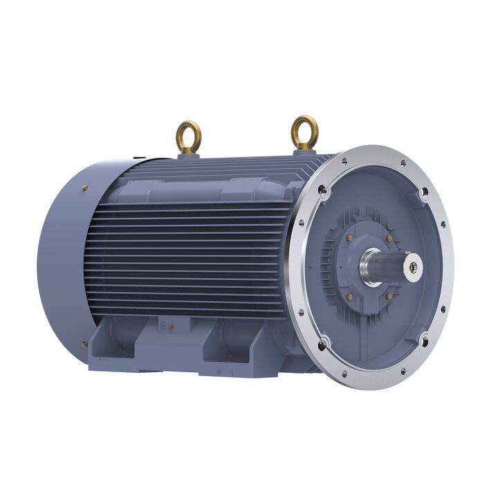 Cast Iron Motor, 270 HP, 3 Ph, 50 Hz, 400 V, 750 RPM, 355L Frame, TEFC