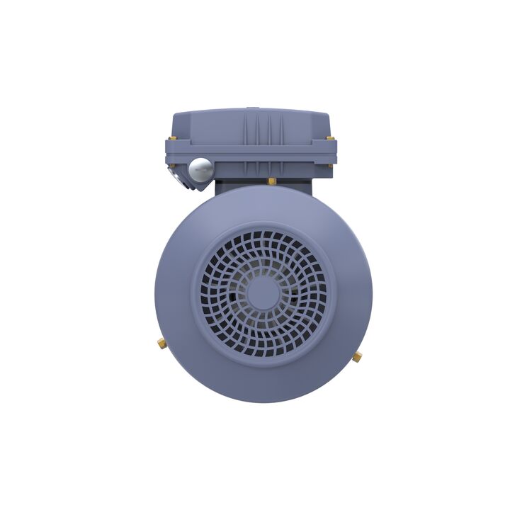 Cast Iron Motor, 1 HP, 3 Ph, 50 Hz, 400 V, 1000 RPM, 90S Frame, TEFC