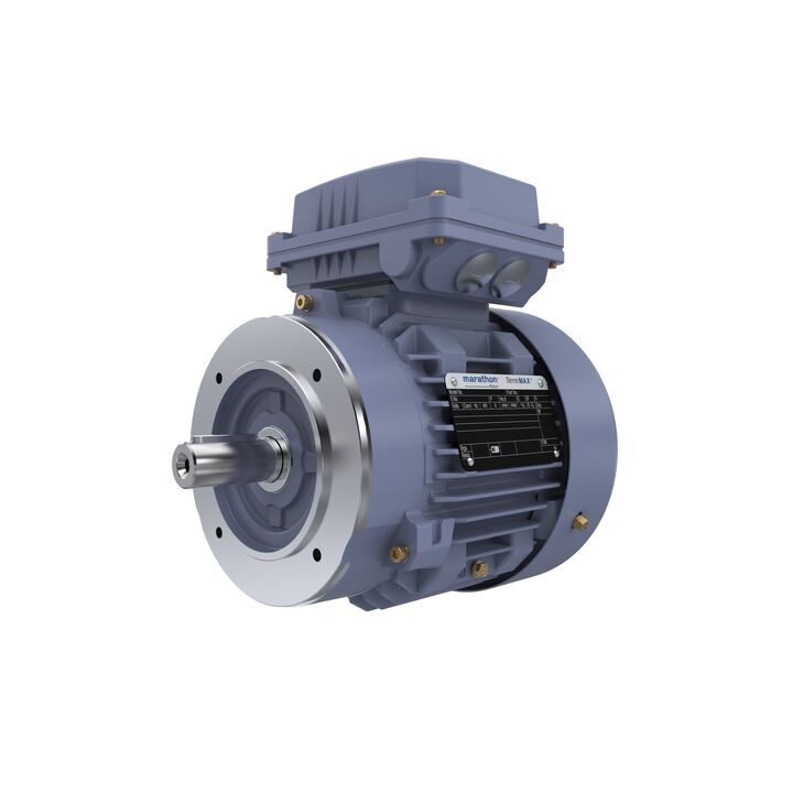 Cast Iron Motor, 1 HP, 3 Ph, 50 Hz, 400 V, 1000 RPM, 90S Frame, TEFC