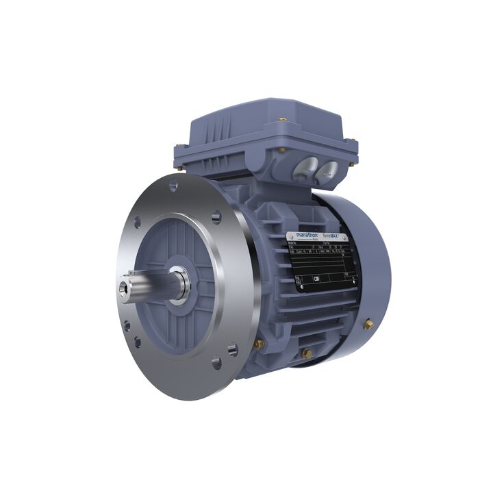 Cast Iron Motor, 1 HP, 3 Ph, 50 Hz, 400 V, 1000 RPM, 90S Frame, TEFC
