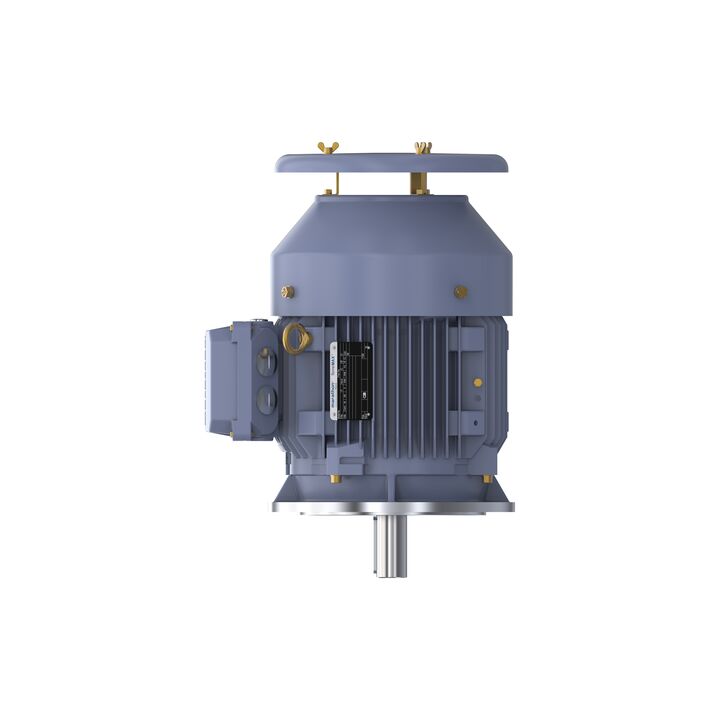 Cast Iron Motor, 4 HP, 3 Ph, 50 Hz, 400 V, 1000 RPM, 132S Frame, TEFC