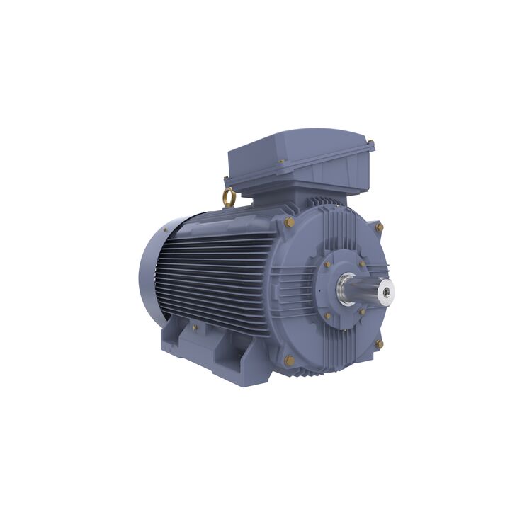 Cast Iron Motor, 335 HP, 3 Ph, 50 Hz, 400 V, 3000 RPM, 355M Frame, TEFC