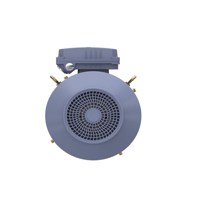 Cast Iron Motor, 10 HP, 3 Ph, 50 Hz, 400 V, 1500 RPM, 132M Frame, TEFC
