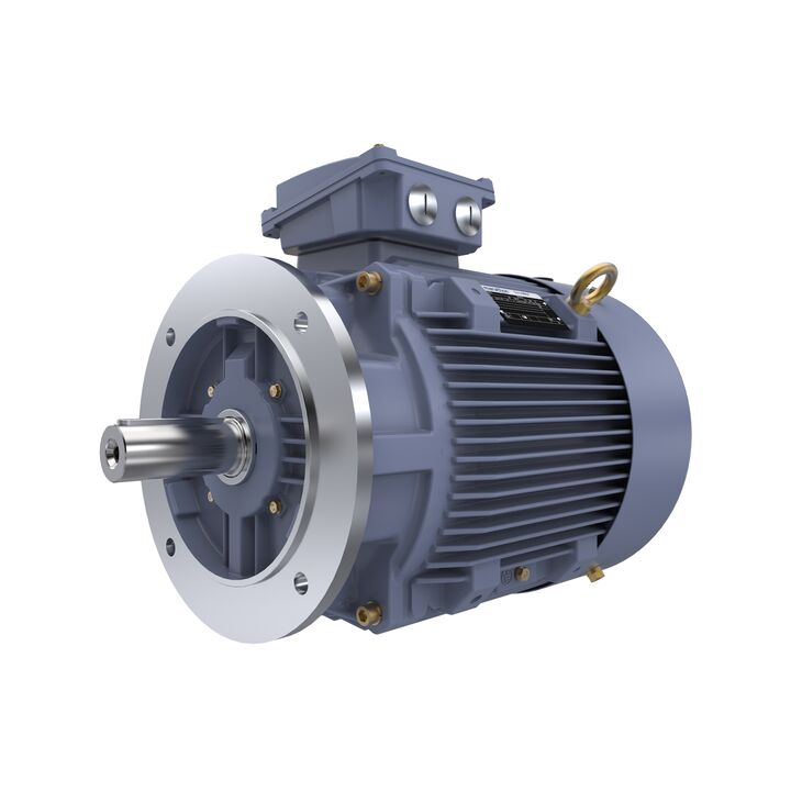 Cast Iron Motor, 25 HP, 3 Ph, 50 Hz, 400 V, 1500 RPM, 180M Frame, TEFC