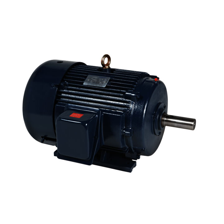 Other Purpose Motor, 30 & 25 HP, 3 Ph, 60 & 50 Hz, 230/460 & 190/380 V, 1800 & 1500 RPM, 286TS Frame, TEFC