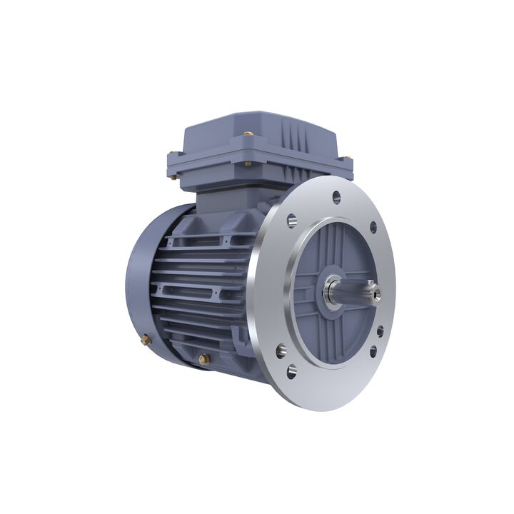 Cast Iron Motor, 1 HP, 3 Ph, 50 Hz, 400 V, 3000 RPM, 80M Frame, TEFC