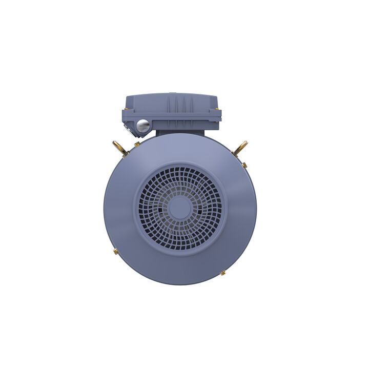 Cast Iron Motor, 10 HP, 3 Ph, 50 Hz, 400 V, 1500 RPM, 132M Frame, TEFC