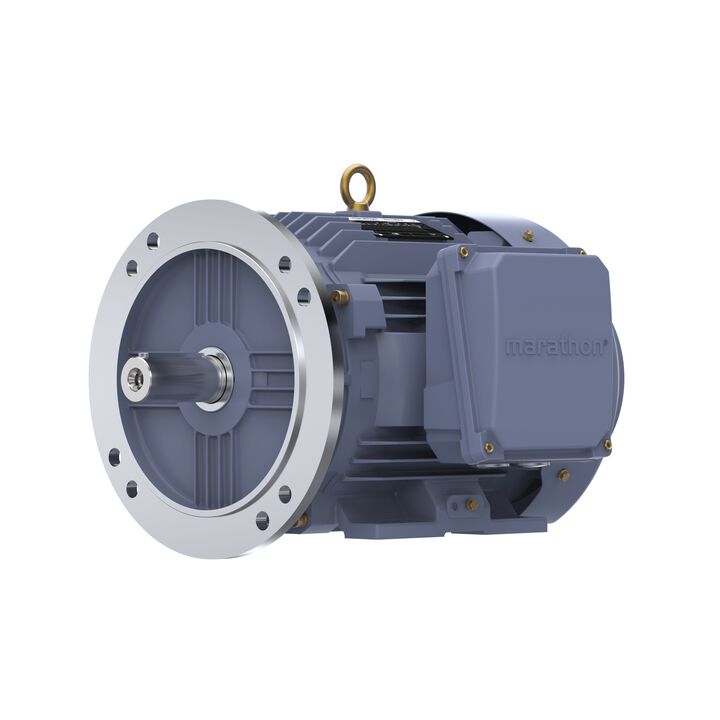 Cast Iron Motor, 7.50 HP, 3 Ph, 50 Hz, 400 V, 1000 RPM, 132M Frame, TEFC