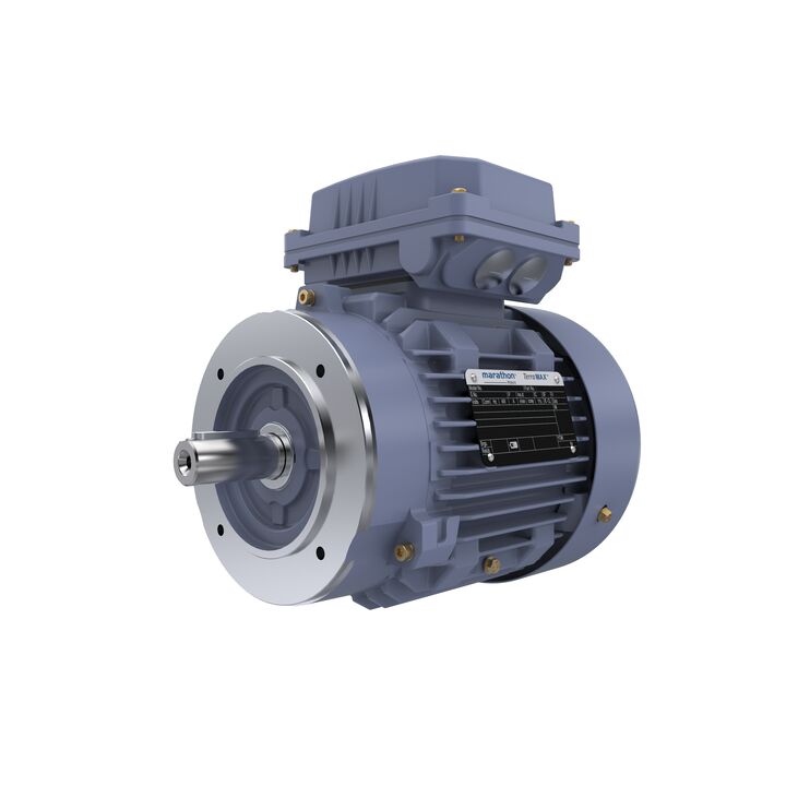 Cast Iron Motor, 1.50 HP, 3 Ph, 50 Hz, 400 V, 1000 RPM, 90L Frame, TEFC