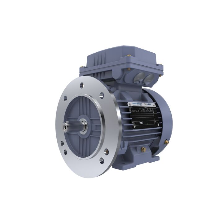 Cast Iron Motor, 1.50 HP, 3 Ph, 50 Hz, 400 V, 3000 RPM, 80M Frame, TEFC