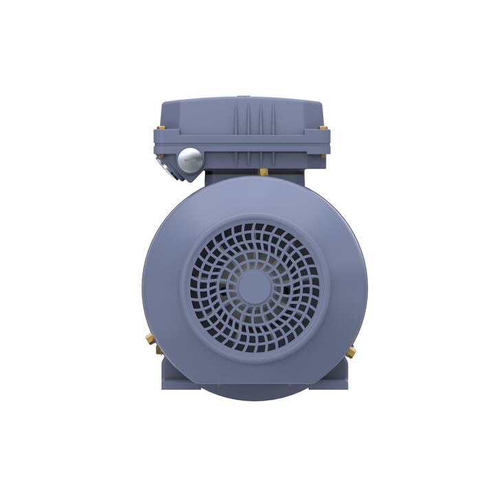 Cast Iron Motor, 1.50 HP, 3 Ph, 50 Hz, 400 V, 1000 RPM, 90L Frame, TEFC
