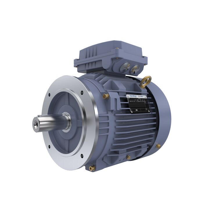 Cast Iron Motor, 4 HP, 3 Ph, 50 Hz, 400 V, 1000 RPM, 132S Frame, TEFC