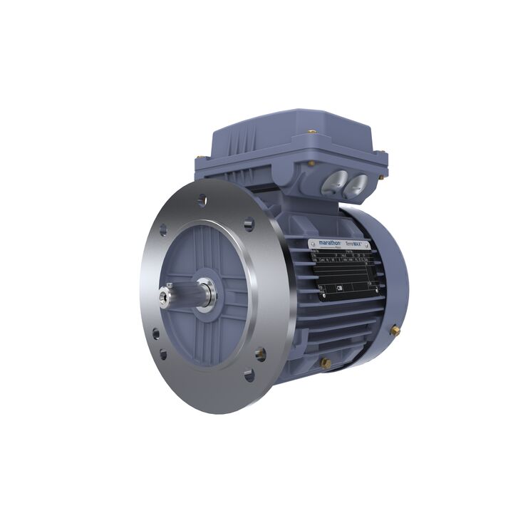 Cast Iron Motor, 1 HP, 3 Ph, 50 Hz, 400 V, 3000 RPM, 80M Frame, TEFC