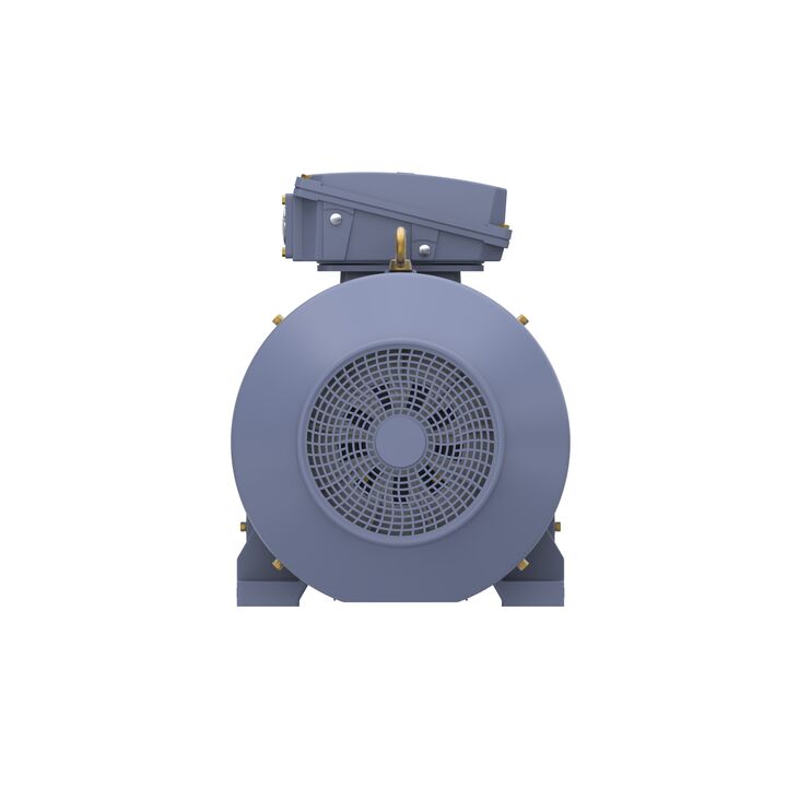 Cast Iron Motor, 150 HP, 3 Ph, 50 Hz, 400 V, 1000 RPM, 315L Frame, TEFC