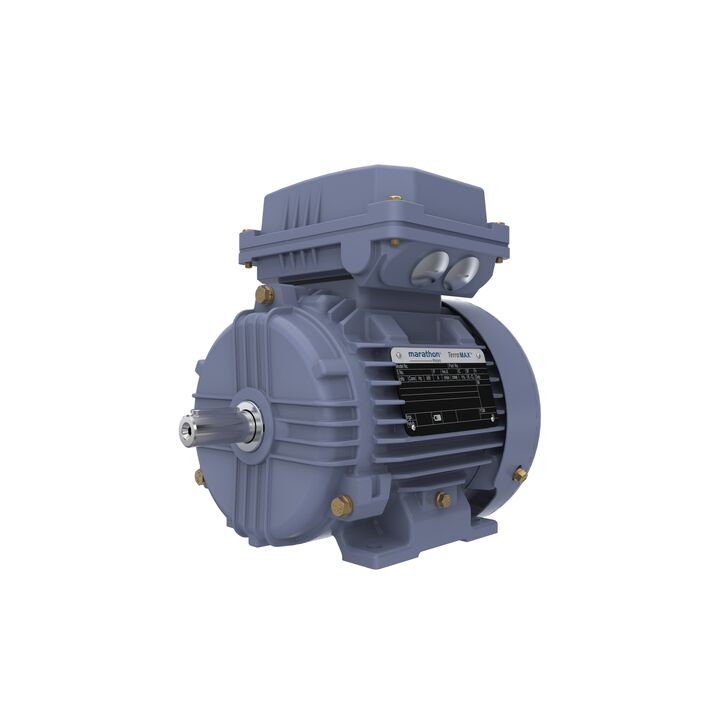Cast Iron Motor, 1 HP, 3 Ph, 50 Hz, 400 V, 3000 RPM, 80M Frame, TEFC
