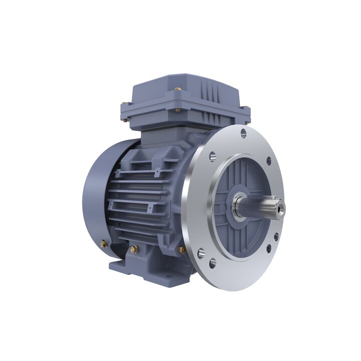 Cast Iron Motor, 1 HP, 3 Ph, 50 Hz, 400 V, 1000 RPM, 90S Frame, TEFC