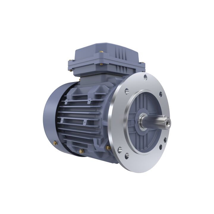 Cast Iron Motor, 1.50 HP, 3 Ph, 50 Hz, 400 V, 1000 RPM, 90L Frame, TEFC