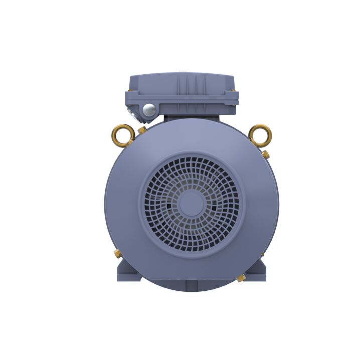 Cast Iron Motor, 4 HP, 3 Ph, 50 Hz, 400 V, 1000 RPM, 132S Frame, TEFC