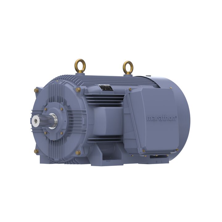 Cast Iron Motor, 270 HP, 3 Ph, 50 Hz, 400 V, 1000 RPM, 355M Frame, TEFC