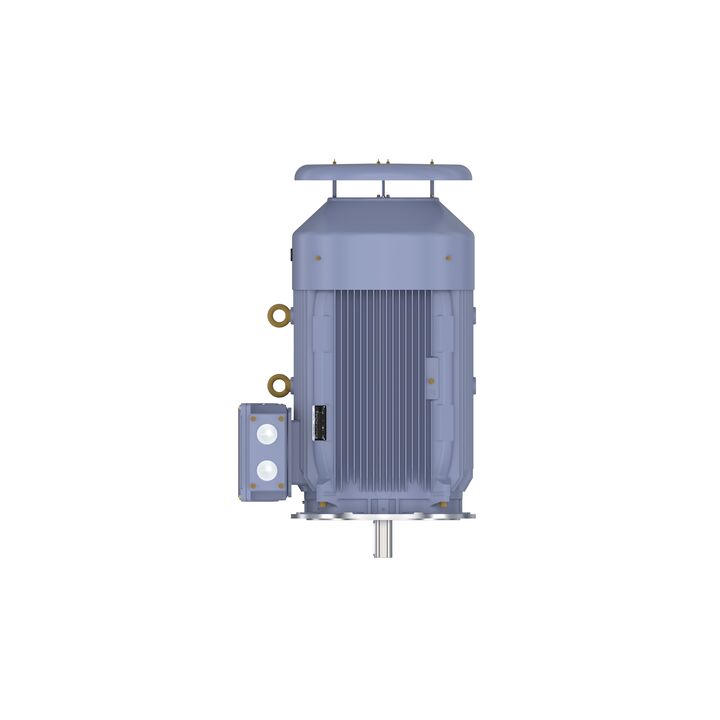 Cast Iron Motor, 150 HP, 3 Ph, 50 Hz, 400 V, 1000 RPM, 315L Frame, TEFC