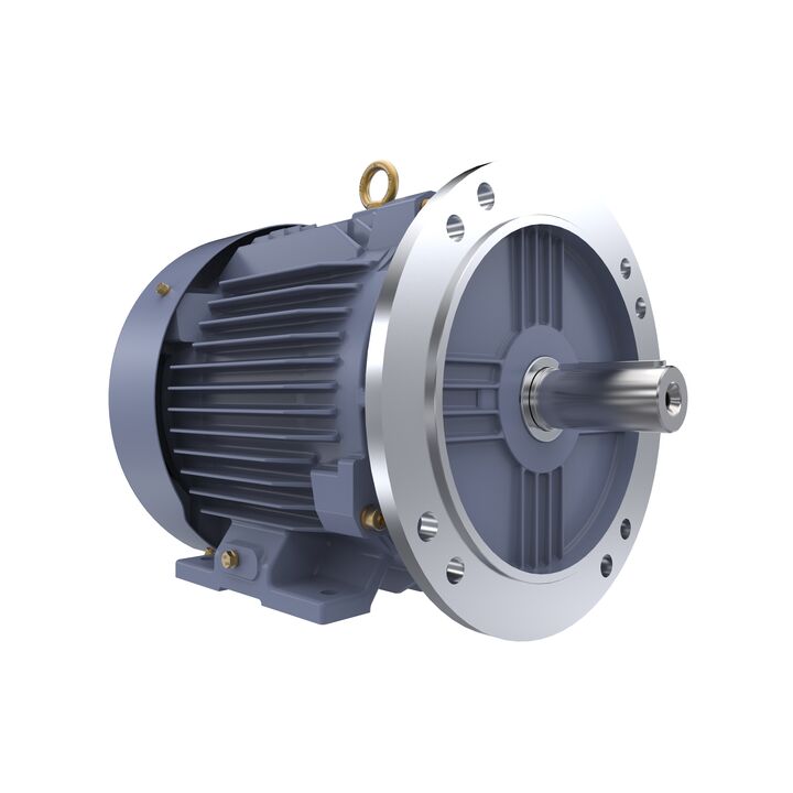 Cast Iron Motor, 10 HP, 3 Ph, 50 Hz, 400 V, 3000 RPM, 132S Frame, TEFC