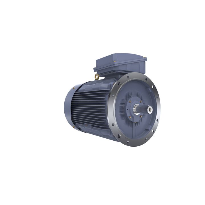 Cast Iron Motor, 150 HP, 3 Ph, 50 Hz, 400 V, 1000 RPM, 315L Frame, TEFC