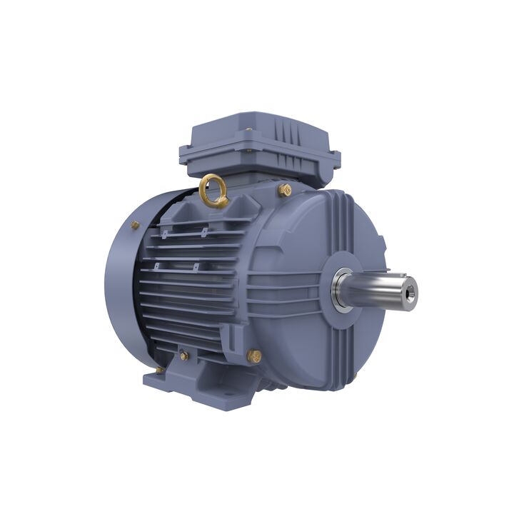 Cast Iron Motor, 4 HP, 3 Ph, 50 Hz, 400 V, 1000 RPM, 132S Frame, TEFC