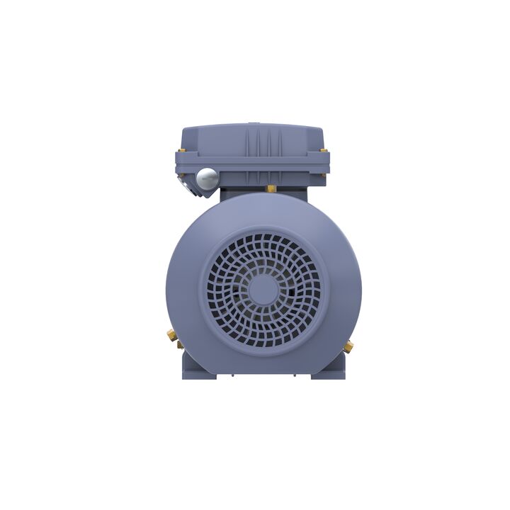 Cast Iron Motor, 1.50 HP, 3 Ph, 50 Hz, 400 V, 1000 RPM, 90L Frame, TEFC