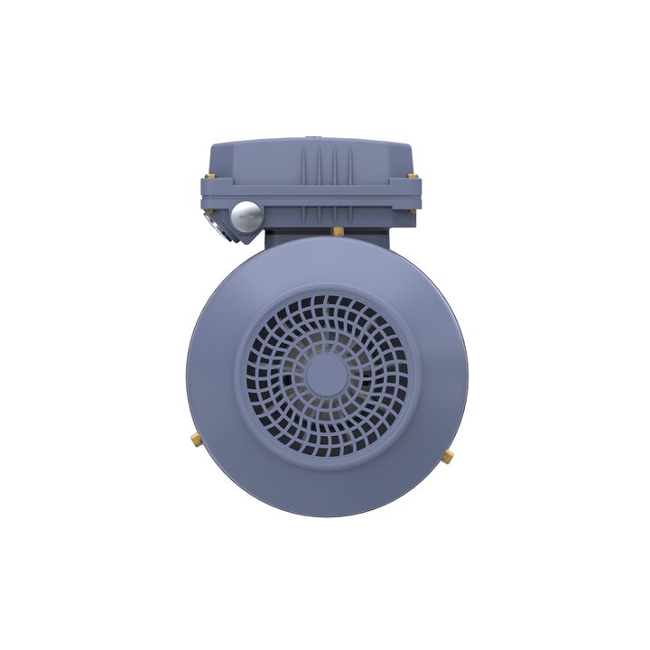 Cast Iron Motor, 1.50 HP, 3 Ph, 50 Hz, 400 V, 1000 RPM, 90L Frame, TEFC