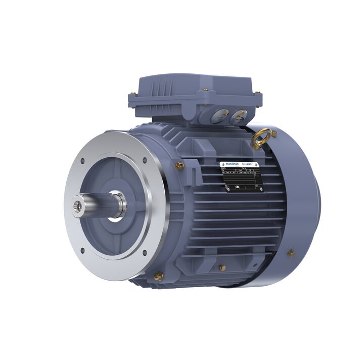 Cast Iron Motor, 10 HP, 3 Ph, 50 Hz, 400 V, 1500 RPM, 132M Frame, TEFC