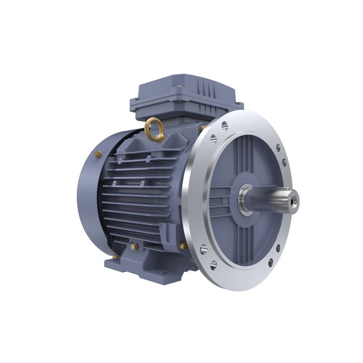 Cast Iron Motor, 4 HP, 3 Ph, 50 Hz, 400 V, 1000 RPM, 132S Frame, TEFC
