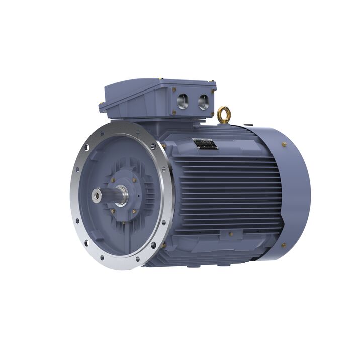 Cast Iron Motor, 150 HP, 3 Ph, 50 Hz, 400 V, 1000 RPM, 315L Frame, TEFC