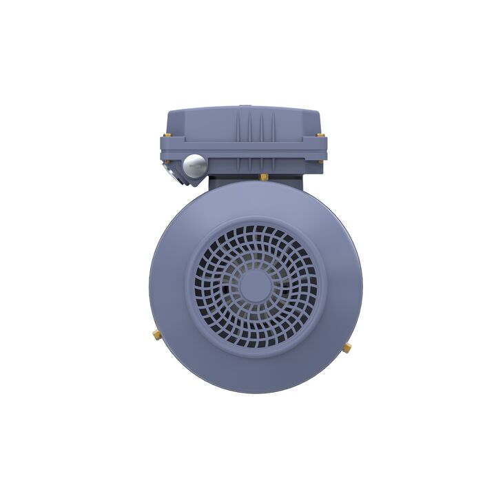 Cast Iron Motor, 1 HP, 3 Ph, 50 Hz, 400 V, 1000 RPM, 90S Frame, TEFC