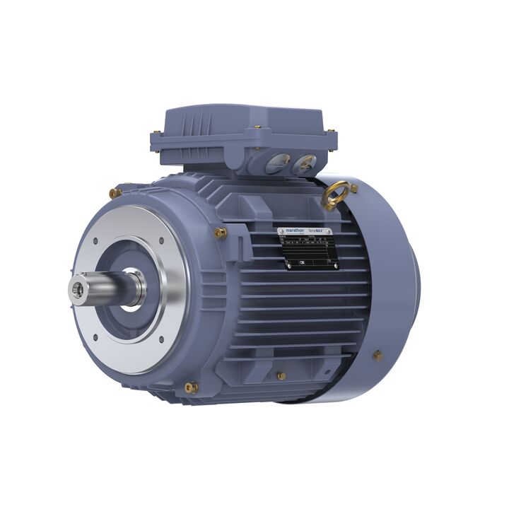 Cast Iron Motor, 10 HP, 3 Ph, 50 Hz, 400 V, 1500 RPM, 132M Frame, TEFC
