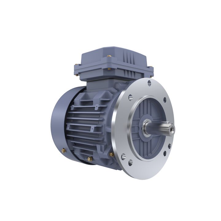 Cast Iron Motor, 1 HP, 3 Ph, 50 Hz, 400 V, 1000 RPM, 90S Frame, TEFC