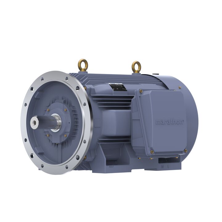 Cast Iron Motor, 150 HP, 3 Ph, 50 Hz, 400 V, 1000 RPM, 315L Frame, TEFC