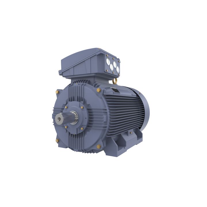 Cast Iron Motor, 335 HP, 3 Ph, 50 Hz, 400 V, 3000 RPM, 355M Frame, TEFC