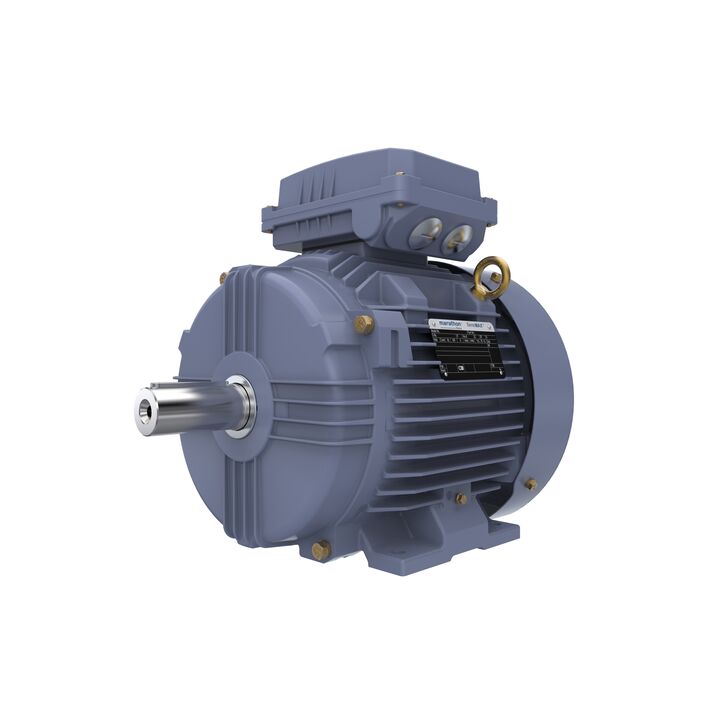 Cast Iron Motor, 4 HP, 3 Ph, 50 Hz, 400 V, 1000 RPM, 132S Frame, TEFC