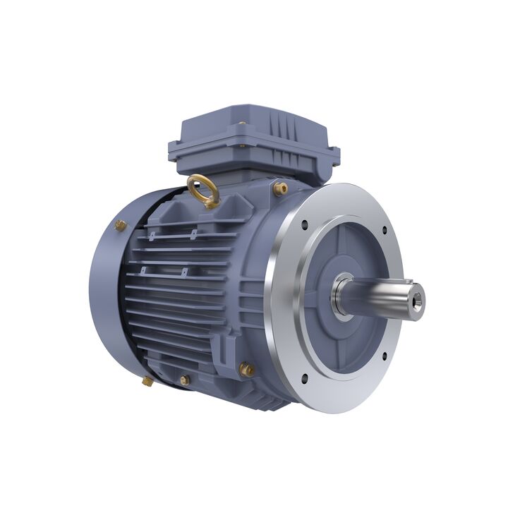 Cast Iron Motor, 10 HP, 3 Ph, 50 Hz, 400 V, 3000 RPM, 132S Frame, TEFC