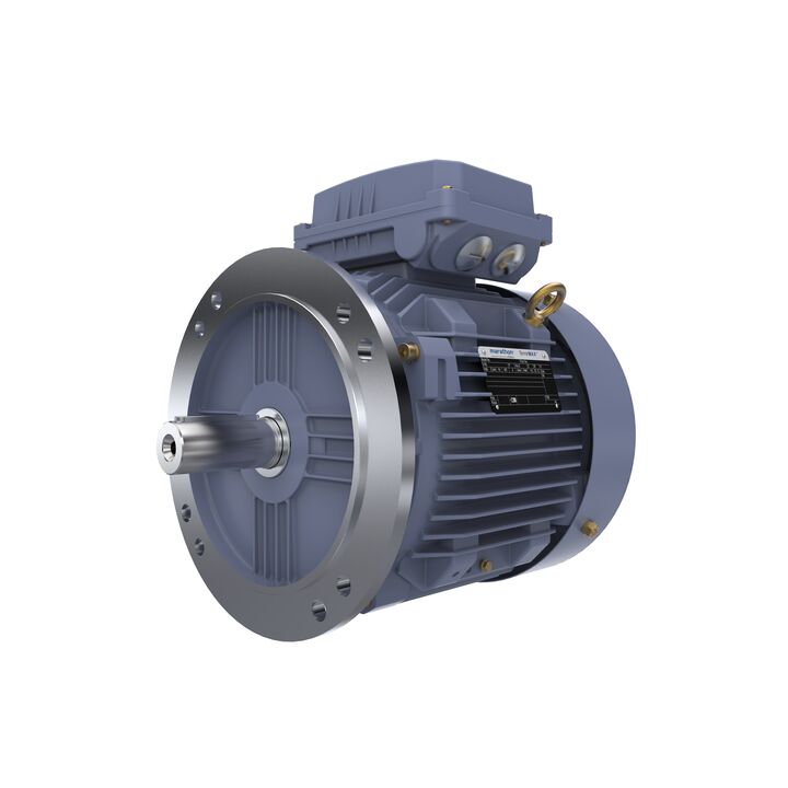 Cast Iron Motor, 4 HP, 3 Ph, 50 Hz, 400 V, 1000 RPM, 132S Frame, TEFC