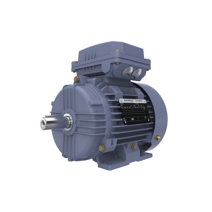Cast Iron Motor, 1.50 HP, 3 Ph, 50 Hz, 400 V, 1000 RPM, 90L Frame, TEFC