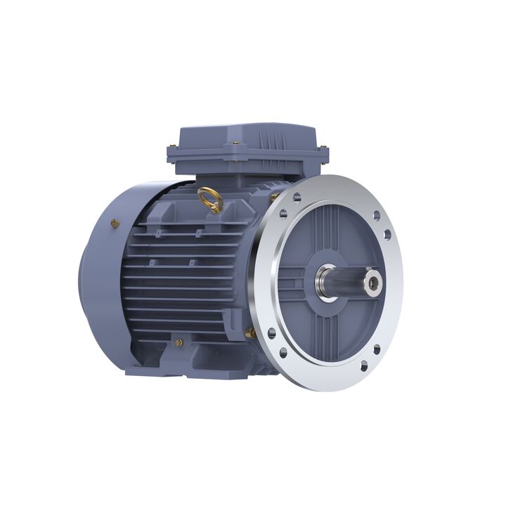 Cast Iron Motor, 7.50 HP, 3 Ph, 50 Hz, 400 V, 1000 RPM, 132M Frame, TEFC Cast Iron Motor, 7.50 HP, 3 Ph, 50 Hz, 400 V, 1000 RPM, 132M Frame, TEFC