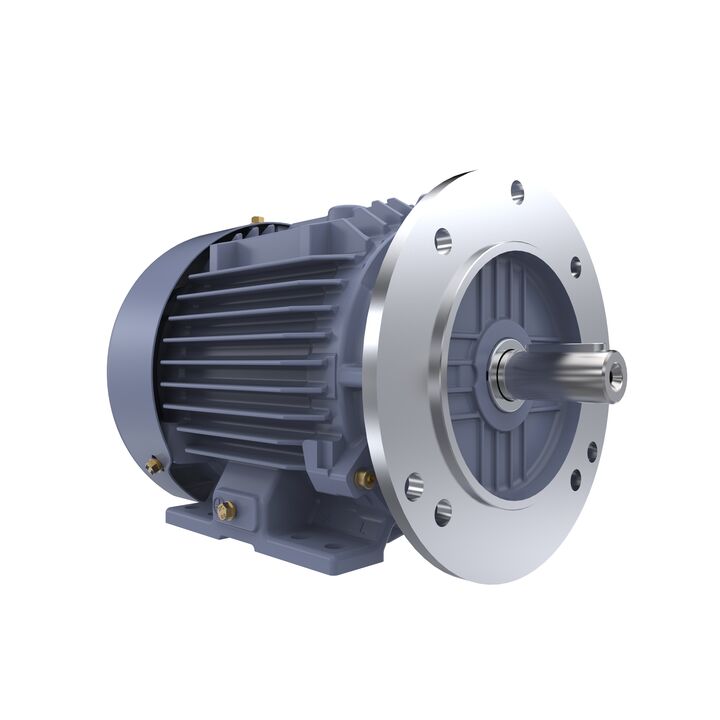 Cast Iron Motor, 1.50 HP, 3 Ph, 50 Hz, 400 V, 1000 RPM, 90L Frame, TEFC