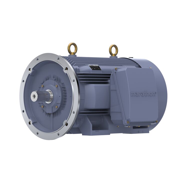 Cast Iron Motor, 270 HP, 3 Ph, 50 Hz, 400 V, 750 RPM, 355L Frame, TEFC