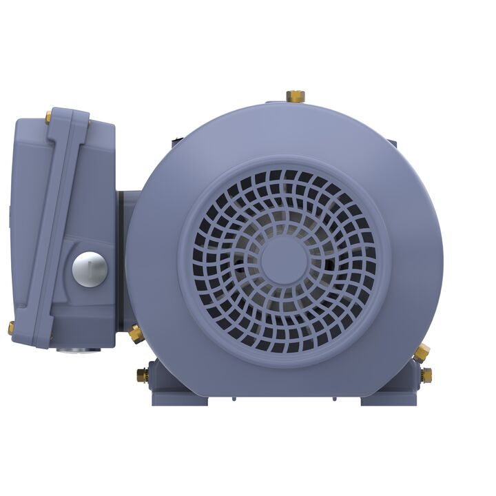 Cast Iron Motor, 1.50 HP, 3 Ph, 50 Hz, 400 V, 1500 RPM, 90S Frame, TEFC