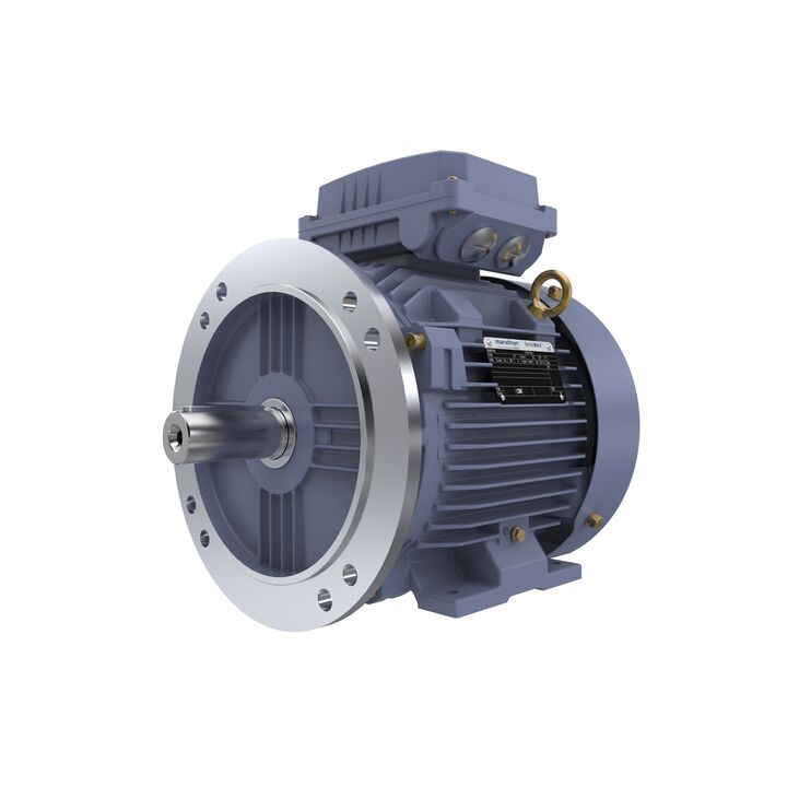 Cast Iron Motor, 4 HP, 3 Ph, 50 Hz, 400 V, 1000 RPM, 132S Frame, TEFC